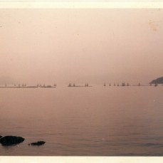 1985013