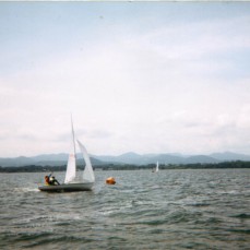 19850141
