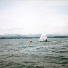 19850151