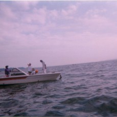 1985026